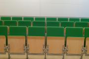 Hörsaalstühle mit grüner Polsterung prostar